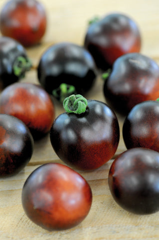 Tomat 'Indigo Cherry Drops'